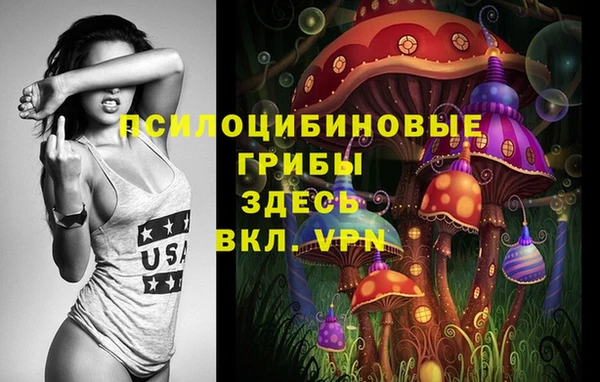 герыч Протвино